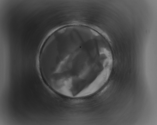 X0000100941239200807151259