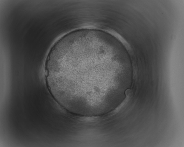 X0000100941240200807151259