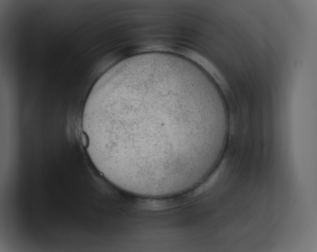 X0000100941241200807151259