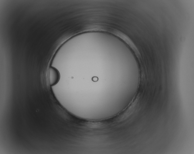 X0000100941242200807151259