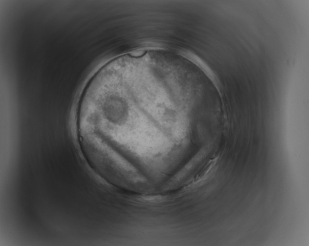 X0000100941243200807151259