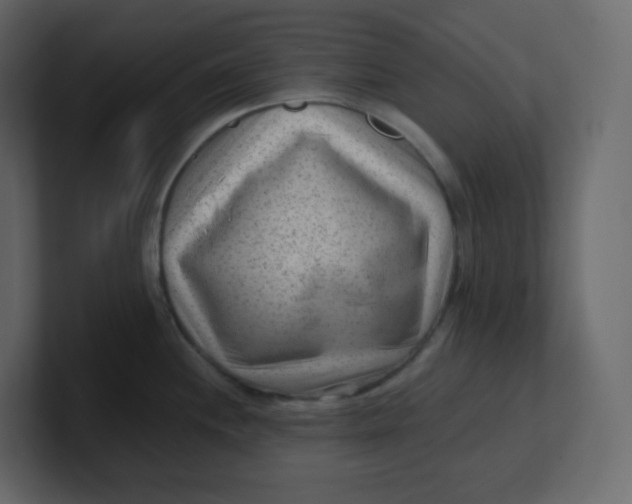 X0000100941244200807151259