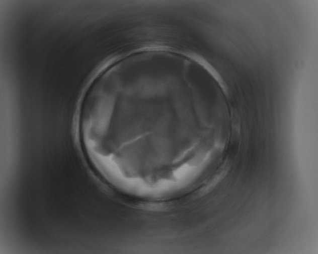 X0000100941245200807151259