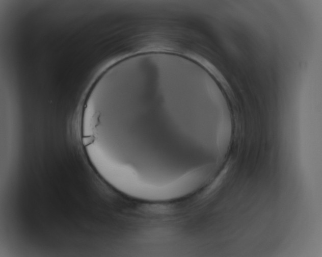 X0000100941246200807151259