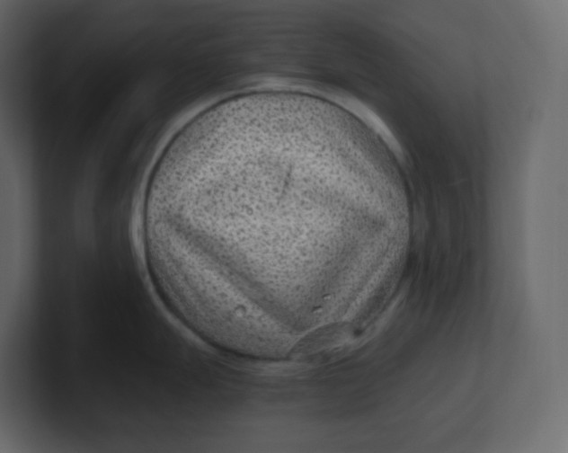 X0000100941247200807151259