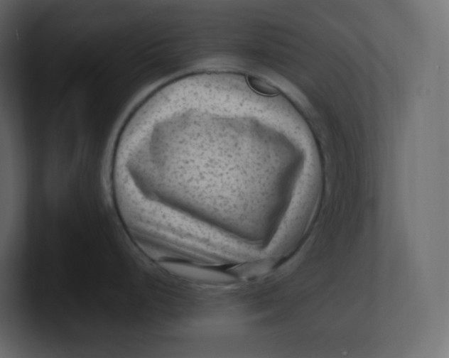 X0000100941248200807151259