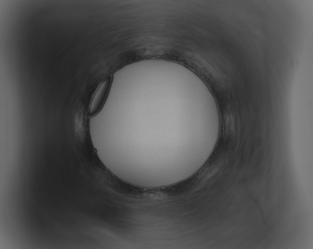 X0000100941250200807151258