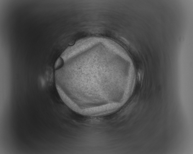 X0000100941251200807151258