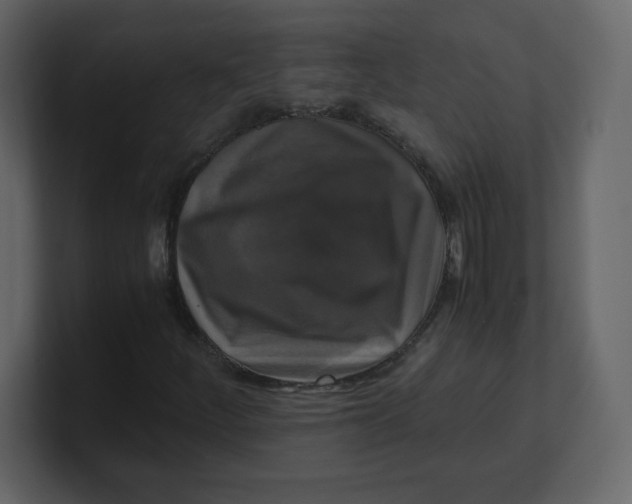 X0000100941252200807151258