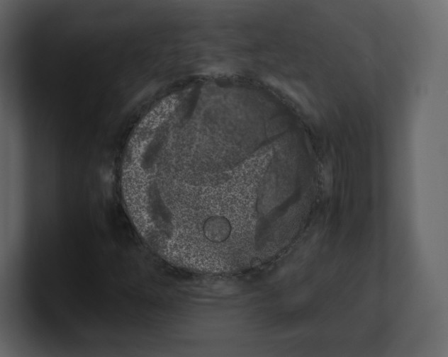 X0000100941254200807151258