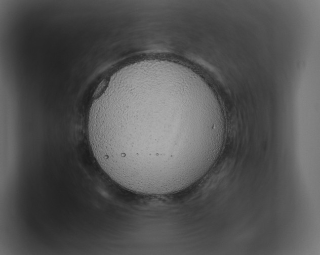 X0000100941255200807151258