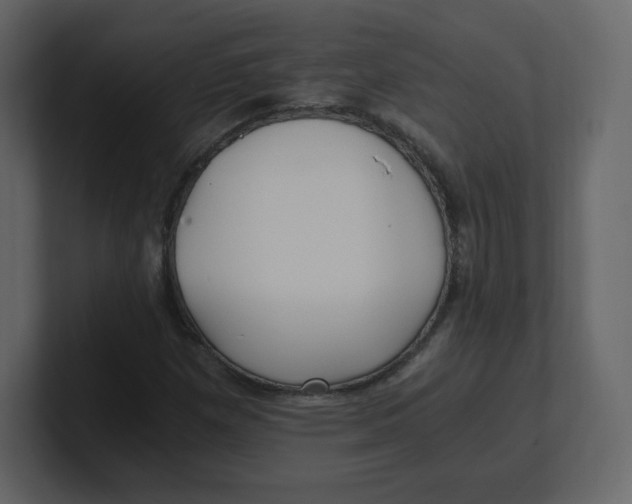 X0000100941257200807151258