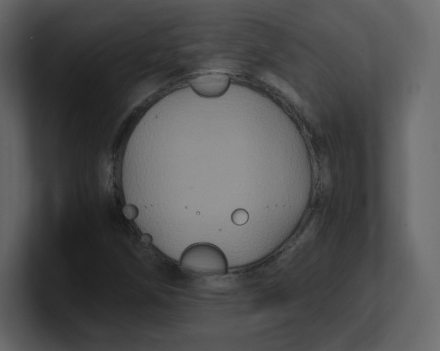 X0000100941258200807151258