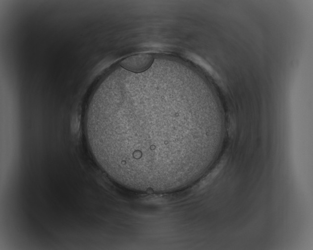 X0000100941259200807151258