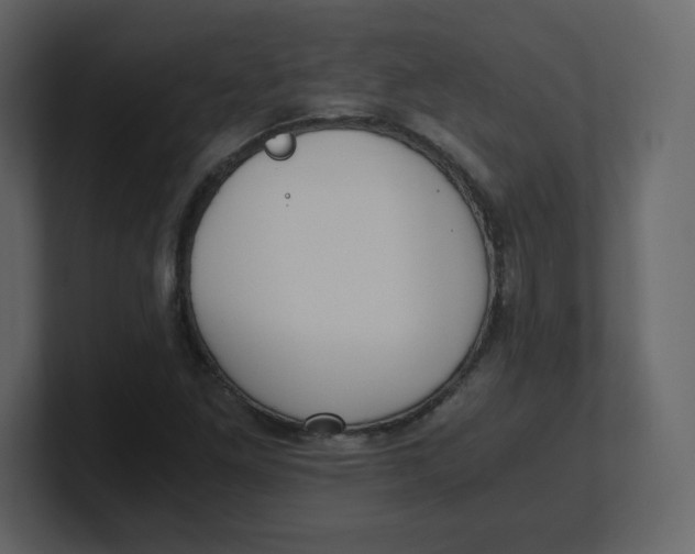 X0000100941261200807151258