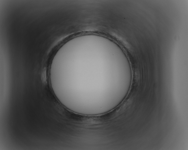 X0000100941262200807151258