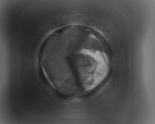 X0000100941263200807151258