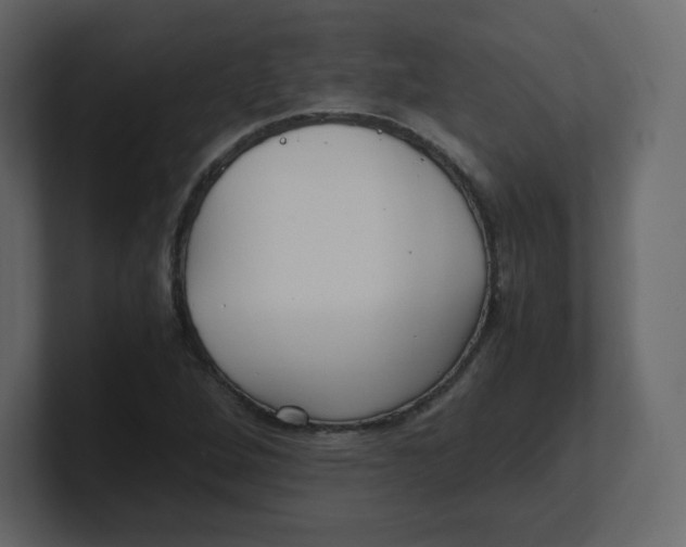 X0000100941264200807151258