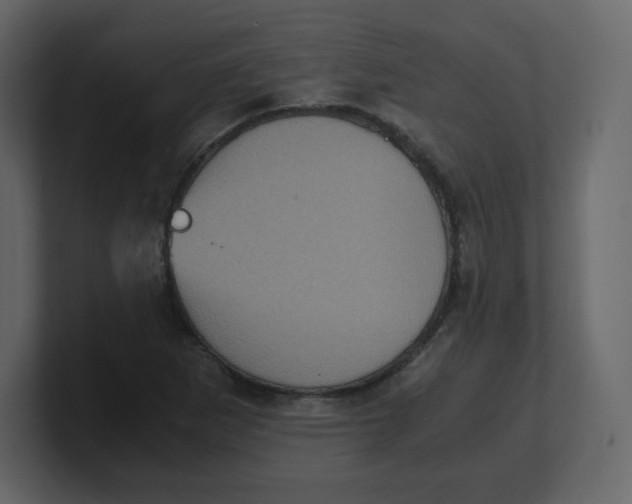 X0000100941265200807151258