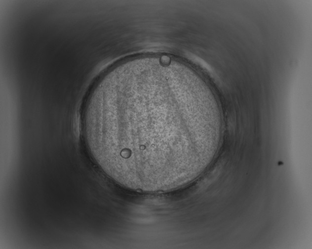 X0000100941267200807151258