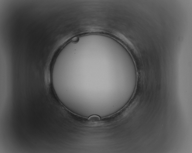 X0000100941269200807151258