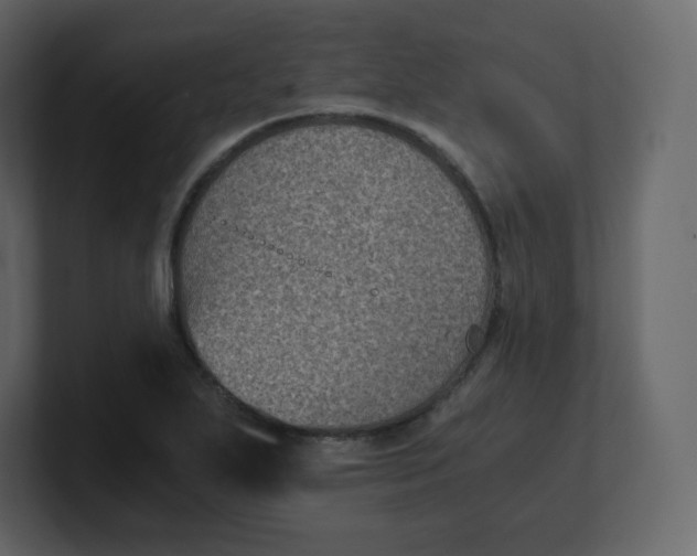 X0000100941271200807151258