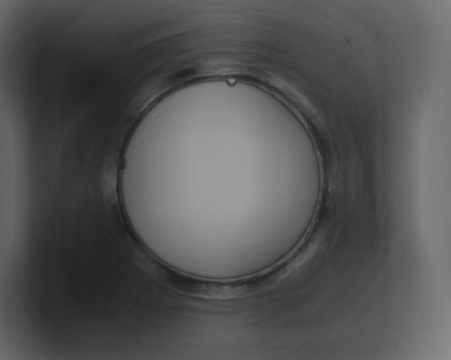 X0000100941273200807151258