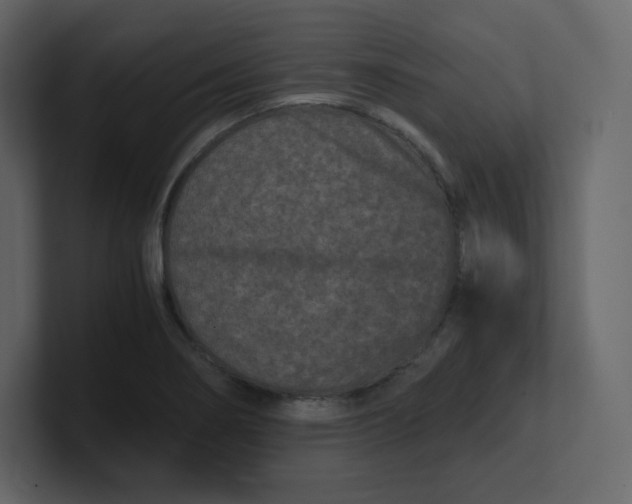 X0000100941274200807151258