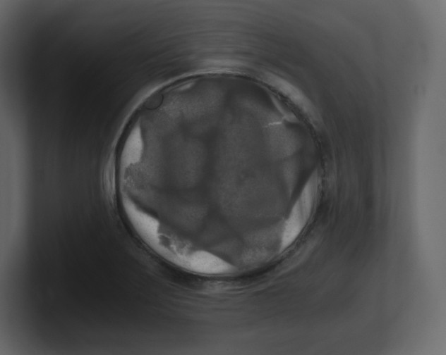 X0000100941275200807151258