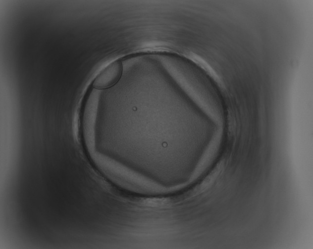 X0000100941277200807151258