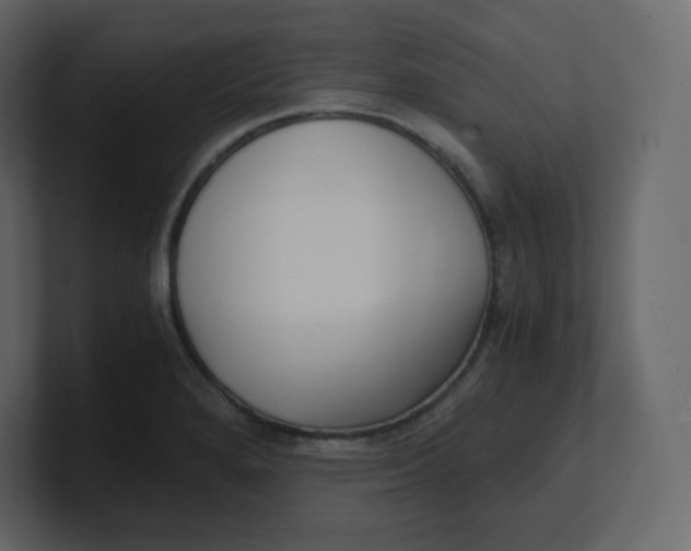 X0000100941280200807151258