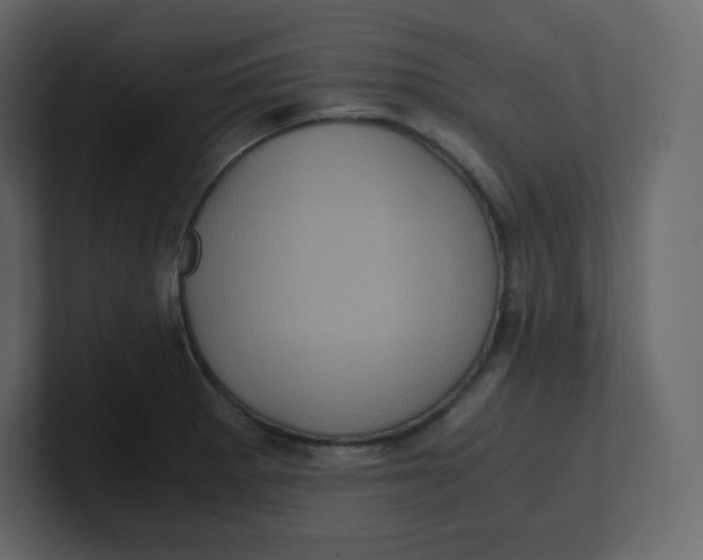 X0000100941281200807151258