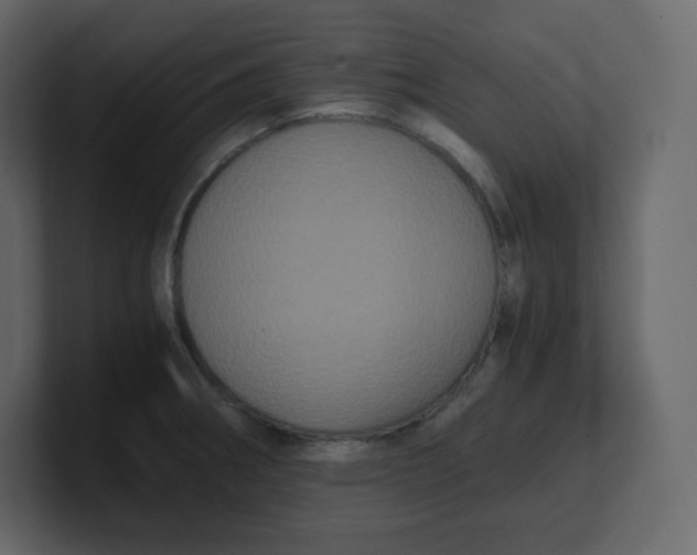 X0000100941282200807151258