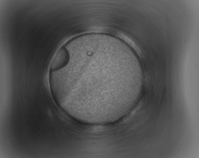 X0000100941283200807151258