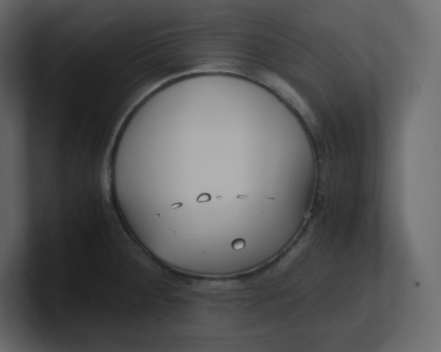 X0000100941284200807151258