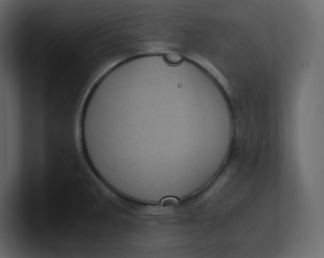 X0000100941285200807151258