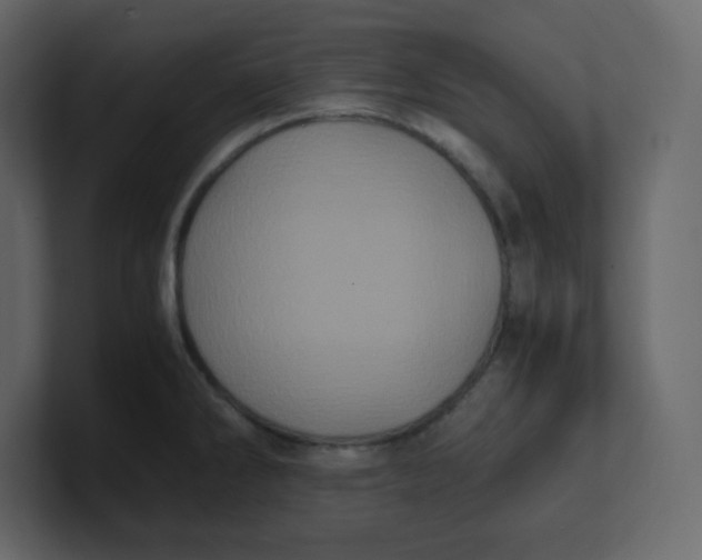 X0000100941286200807151258