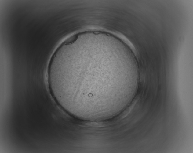 X0000100941287200807151258