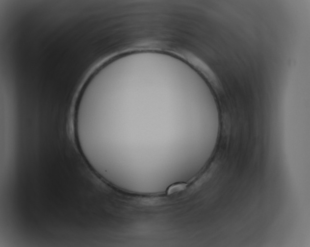 X0000100941288200807151258