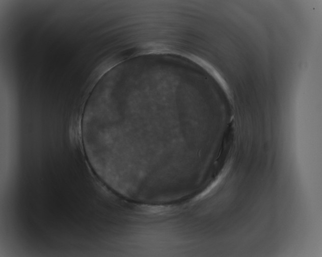 X0000100941289200807151258