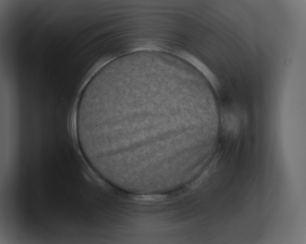 X0000100941290200807151258