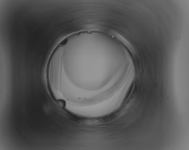 X0000100941291200807151258