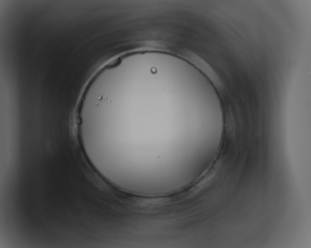 X0000100941292200807151258