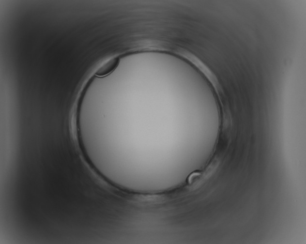 X0000100941293200807151258