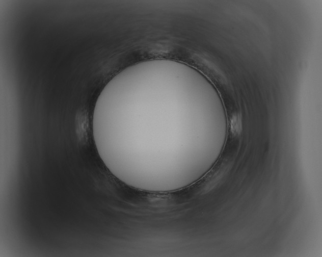 X0000100941299200807151257