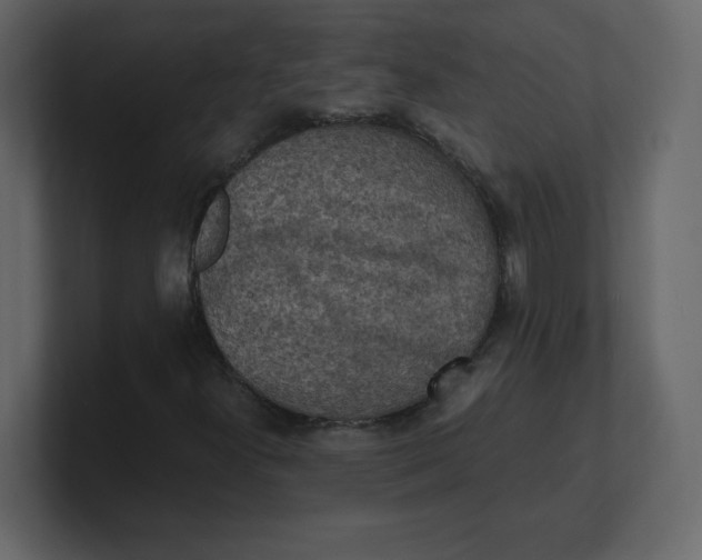 X0000100941300200807151257