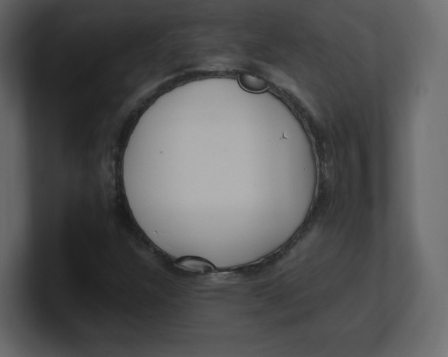 X0000100941304200807151257