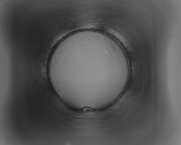 X0000100941308200807151257