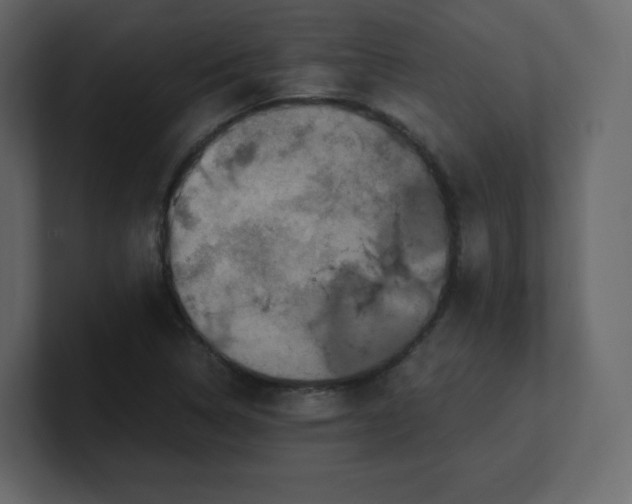 X0000100941314200807151257