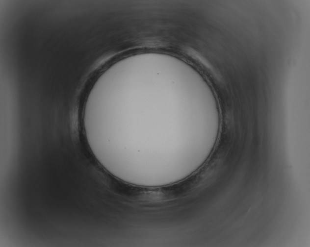 X0000100941315200807151257